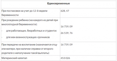 Какие единовременные выплаты ждут россиян в 2019 году