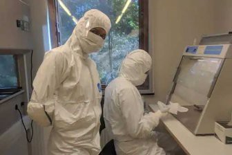 Археологи выделили ДНК из древней жвачки Археологи выделили ДНК из древней жвачки