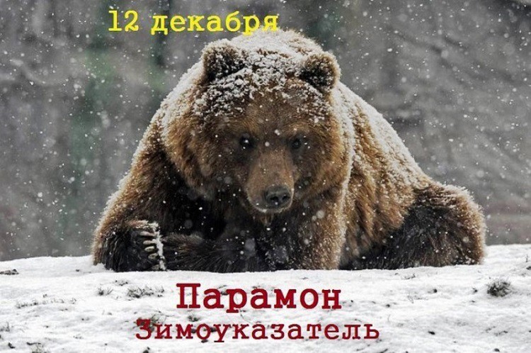 12 декабря 2018 - какой праздник сегодня в России