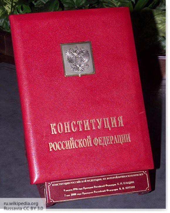 Член Совфеда оценил роль Конституции в жизни россиян