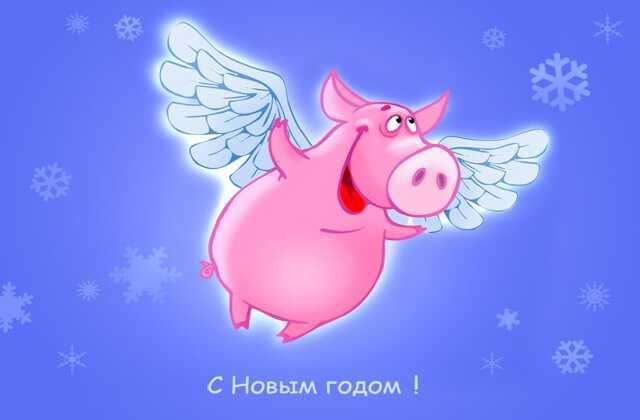 Прикольные поздравления с Новым 2019 годом кабана для коллег в стихах, прозе, картинки Прикольные поздравления с Новым 2019 годом кабана для коллег в стихах, прозе, картинки