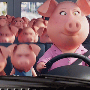 Прикольные поздравления с Новым 2019 годом кабана для коллег в стихах, прозе, картинки Прикольные поздравления с Новым 2019 годом кабана для коллег в стихах, прозе, картинки