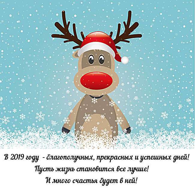 Прикольные поздравления с Новым 2019 годом кабана для коллег в стихах, прозе, картинки Прикольные поздравления с Новым 2019 годом кабана для коллег в стихах, прозе, картинки