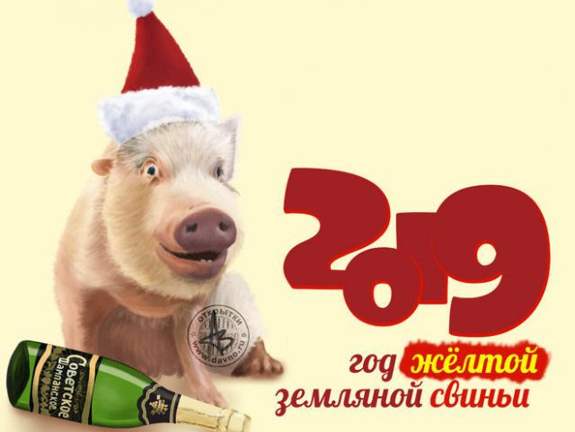 Картинки с Новым годом 2019 Свиньи (кабана): яркие открытки с прикольными поздравлениями
