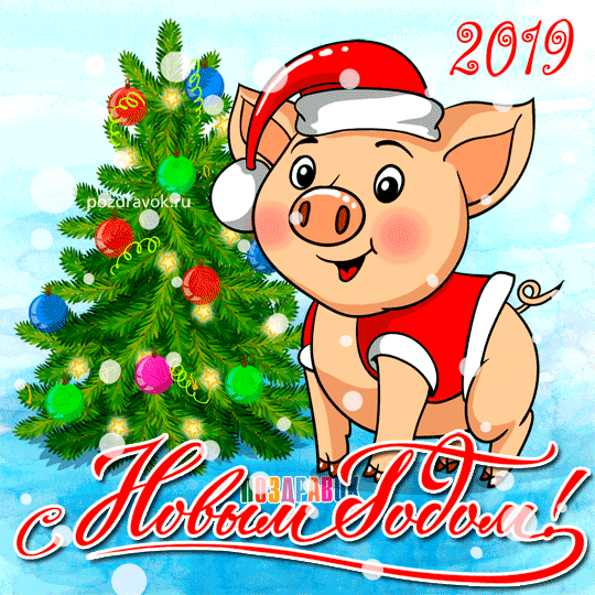 Картинки с Новым годом 2019 Свиньи (кабана): яркие открытки с прикольными поздравлениями