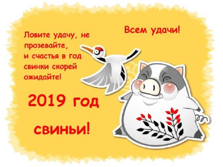 Прикольные поздравления с Новым годом Свиньи 2019 в стихах