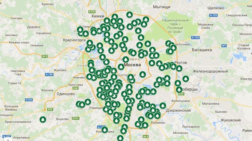 Елочные базары в Москве в 2018-2019 году: адреса Елочные базары в Москве в 2018-2019 году: адреса