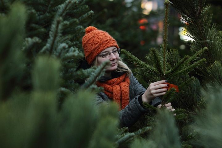 Елочные базары в Москве в 2018-2019 году: адреса Елочные базары в Москве в 2018-2019 году: адреса