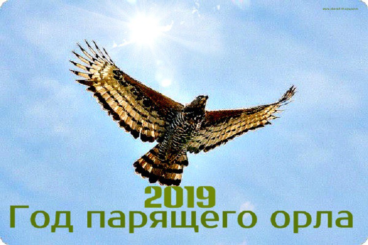 Какой год по славянскому календарю 2019, какого животного