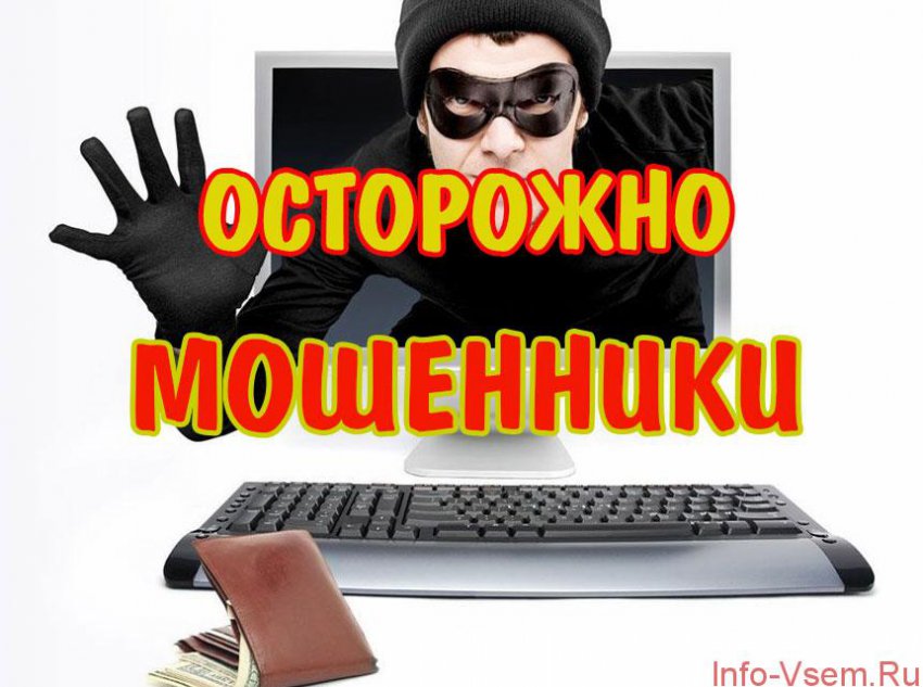Осторожно, мошенники: как не стать жертвой обмана в интернете
