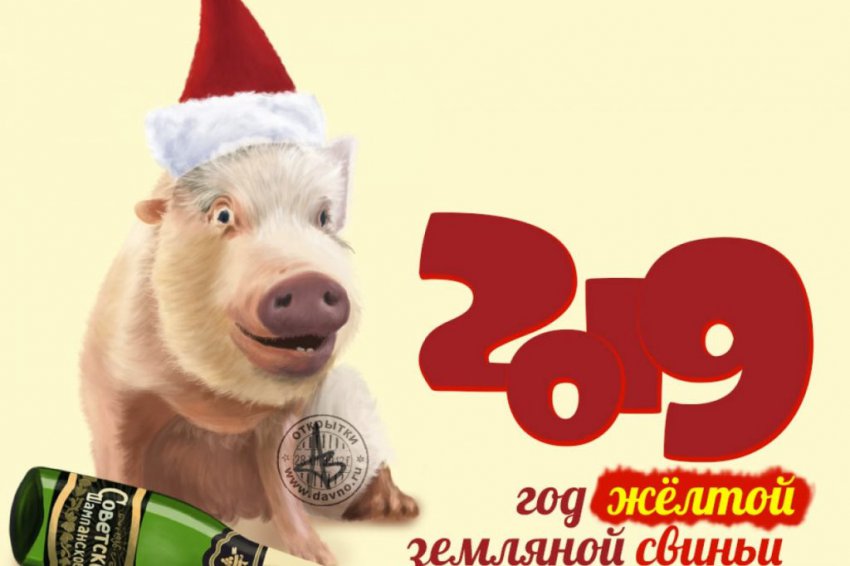 Что готовит нам 2019 год свиньи, чего ожидать по знакам зодиака