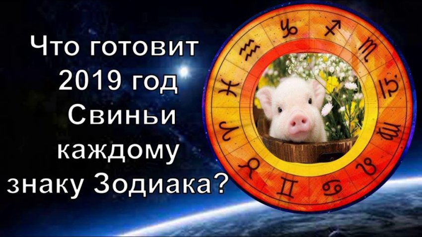 Гороскоп на 2019 год: Гороскоп от Тамары и Павла Глобы и Василисы Володиной бесплатный по дате, году рождения, знаку зодиака
