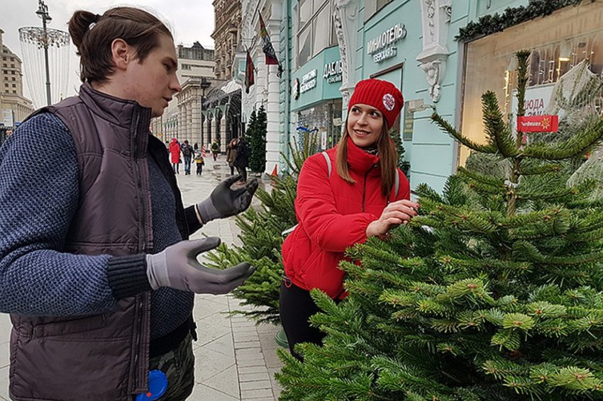 Сколько стоит живая ёлка в Москве 2018 - адреса базаров