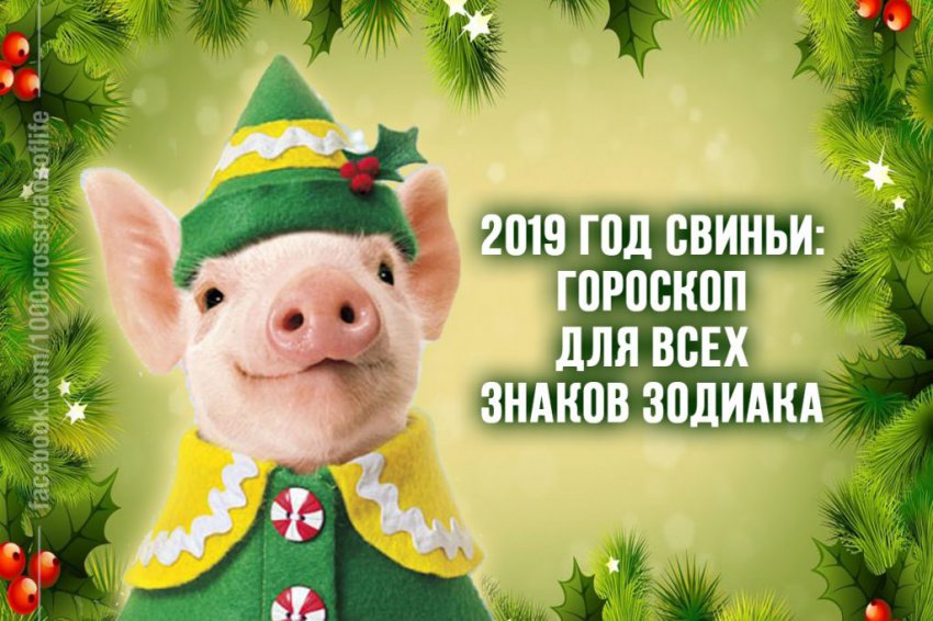 Гороскоп для всех знаков по годам рождения на Год Свиньи 2019