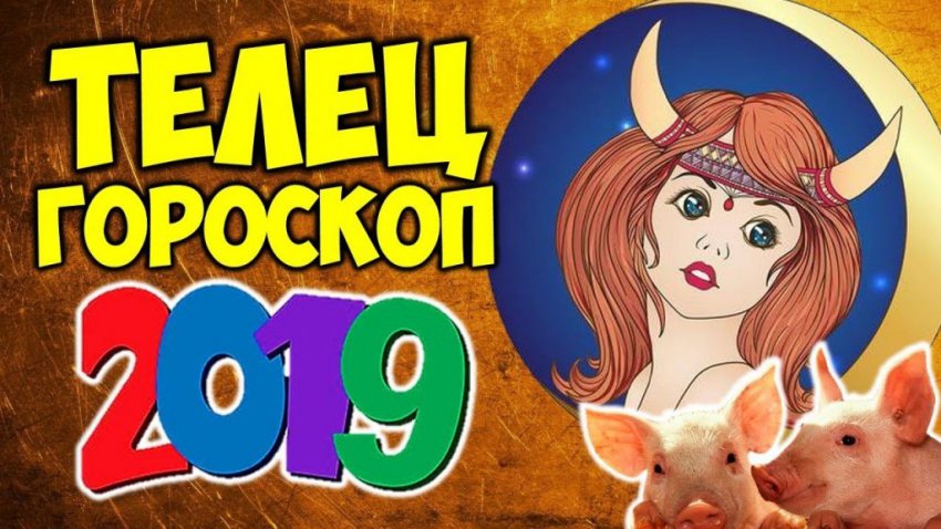 Телец: прогноз астролога на 2019 год, гороскоп на 2019 год Телец, любовный, финансовый, точный прогноз