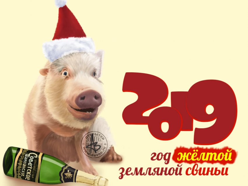 Картинки с Новым годом 2019 Свиньи (кабана): яркие открытки с прикольными поздравлениями