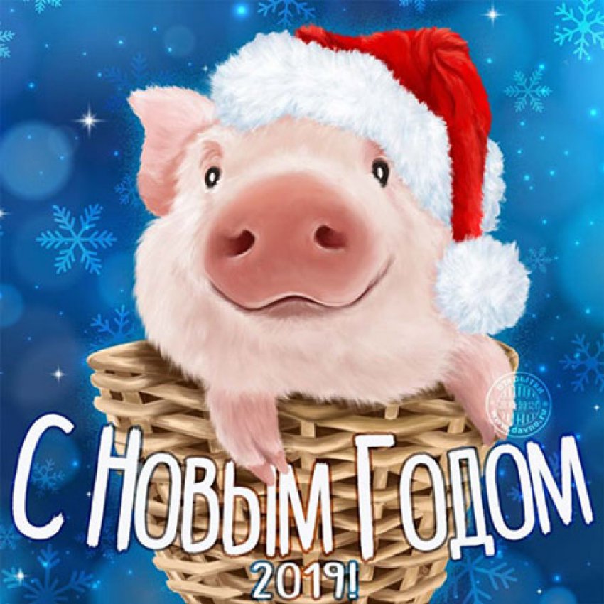 Прикольные поздравления с Новым годом 2019 - смешные и короткие