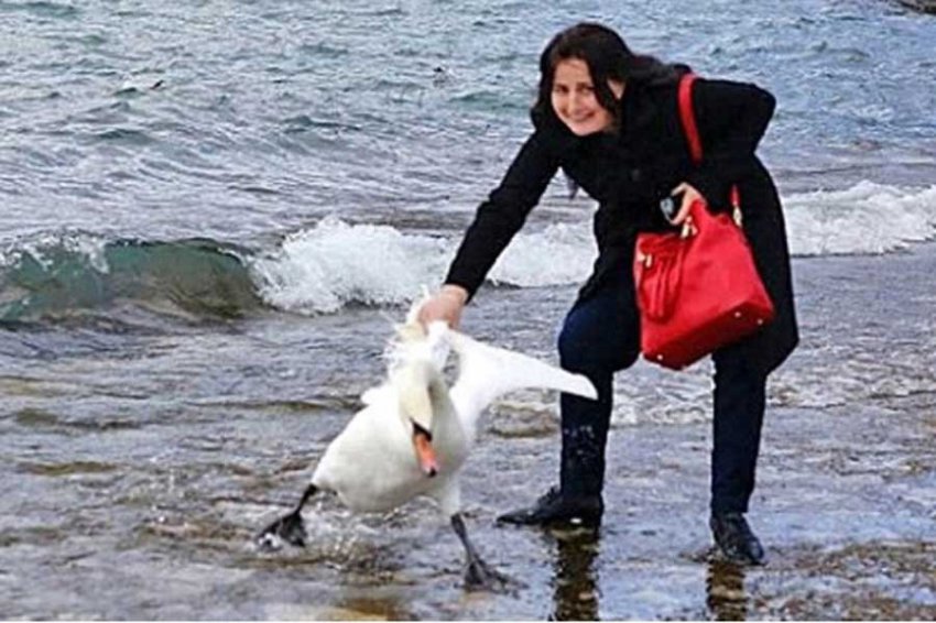 Перечислены самые постыдные выходки туристов