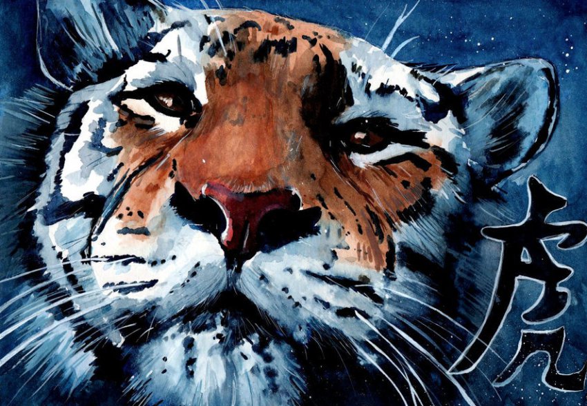 Стрелец — Гороскоп на 2019 год: полный астрологический прогноз для Стрельца на 2019, финансовый, любовный