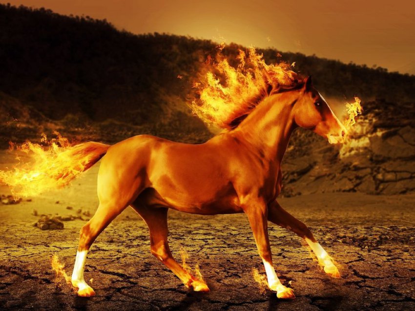 Стрелец — Гороскоп на 2019 год: полный астрологический прогноз для Стрельца на 2019, финансовый, любовный