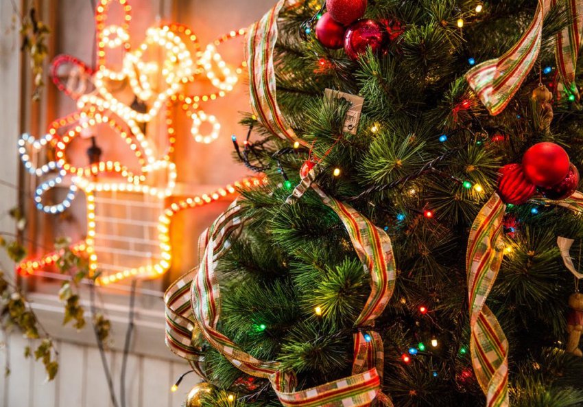 Официальные и прикольные поздравления коллегам с Новым 2019 годом Свиньи (Кабана)