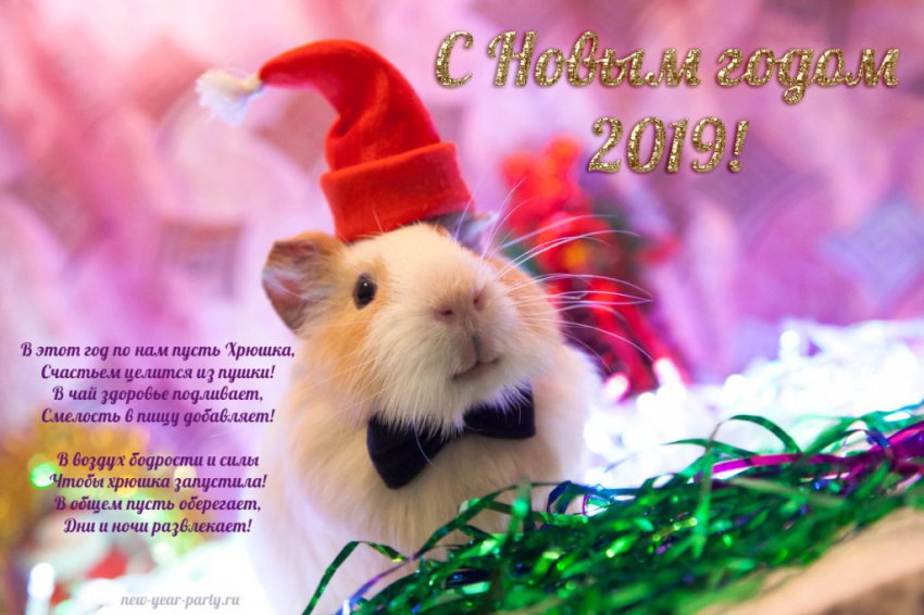 Официальные поздравления с Новым 2019 годом коллегам по работе