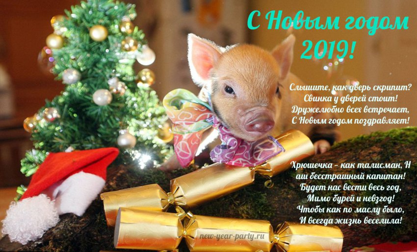 Официальные поздравления с Новым 2019 годом коллегам по работе