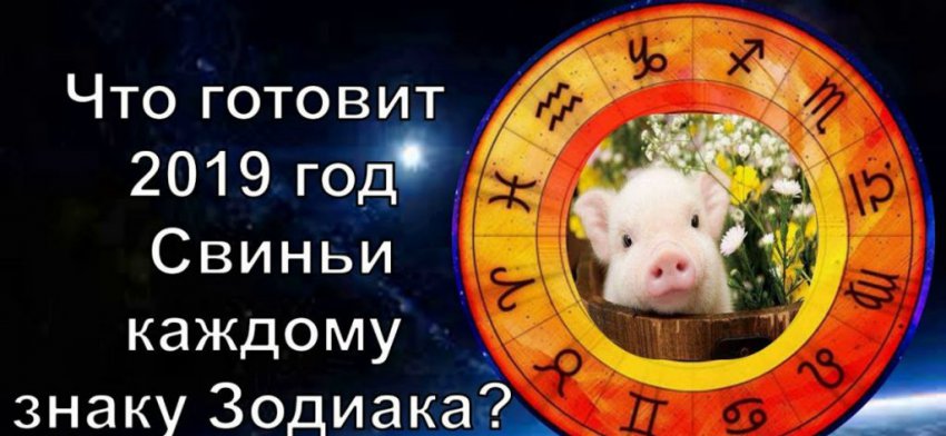 Прогноз на 2019 год: для всех знаков зодиака гороскоп 2019, самые удачливые знаки зодиака в год Свиньи