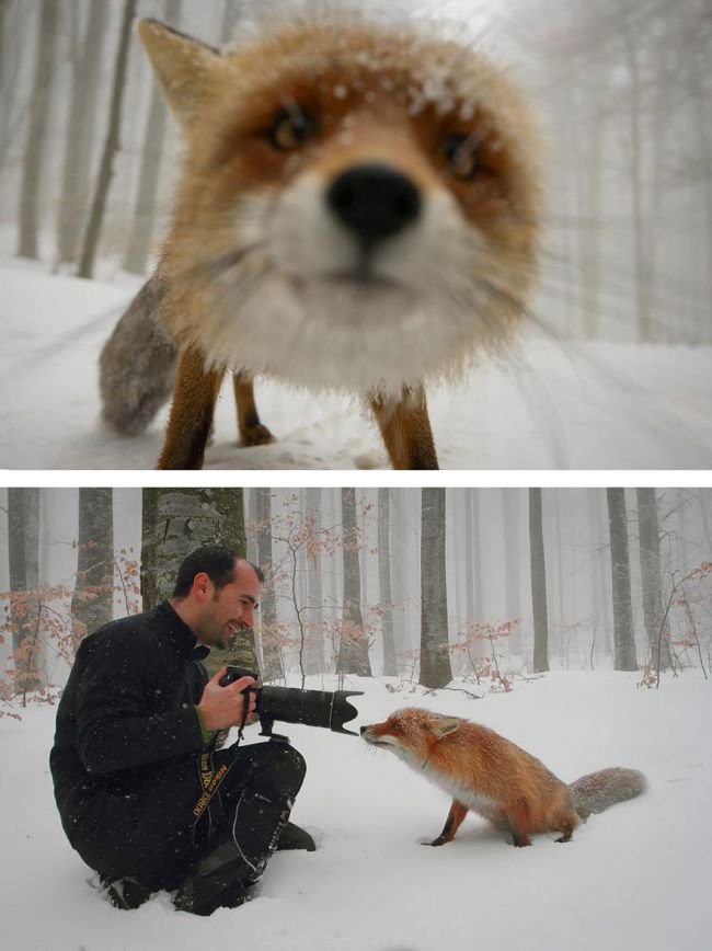Что скрывается за красивыми фотографиями?