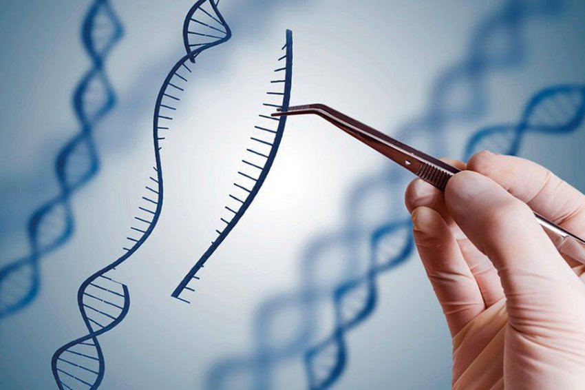Журнал Science назвал главные научные достижения и провалы 2018 года