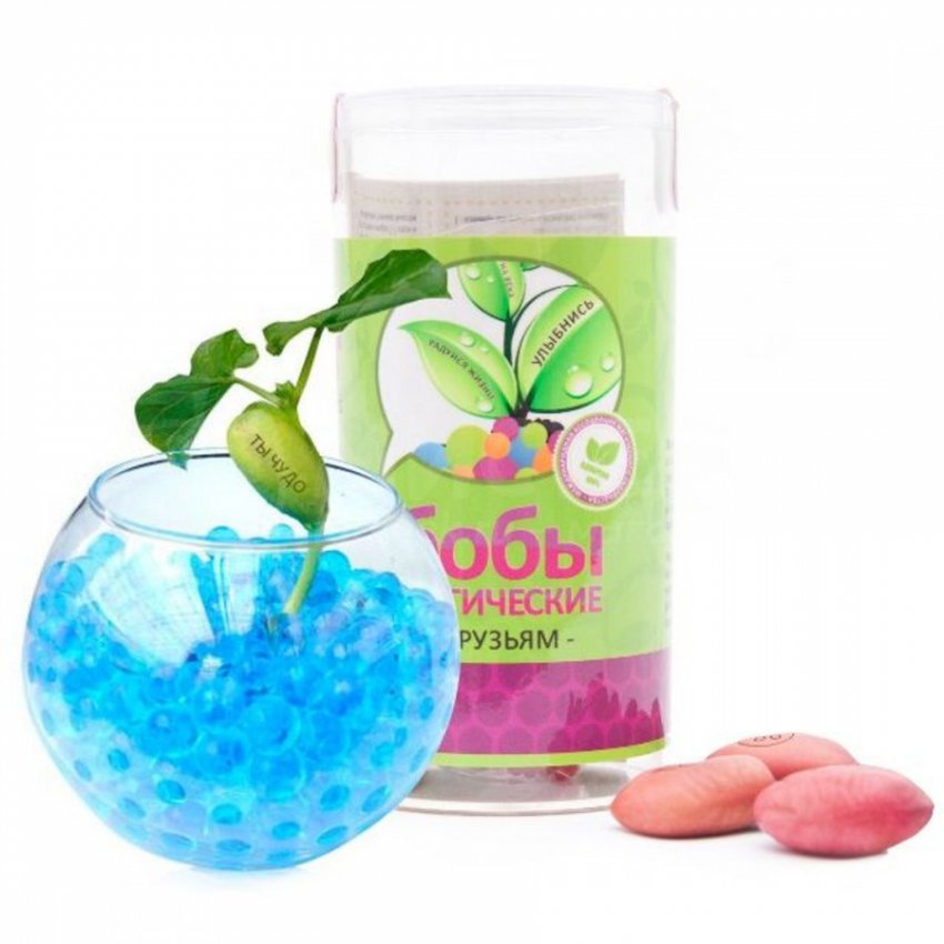 Топ-10 необычных подарков ко Дню Святого Валентина