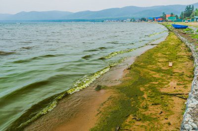 Глобальное потепление может уничтожить озеро Байкал