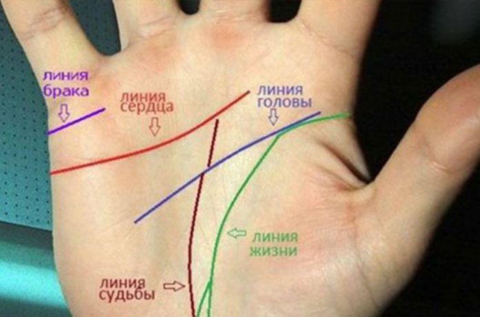 Гадаем по руке: буквы, которые встречаются на ладони особенных людей Гадаем по руке: буквы, которые встречаются на ладони особенных людей