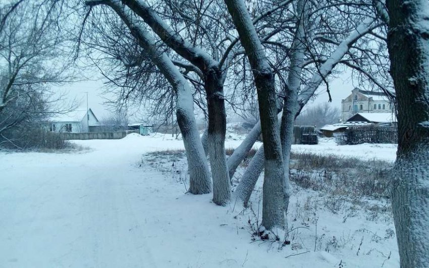 Русскую деревню собирается возродить Минсельхоз