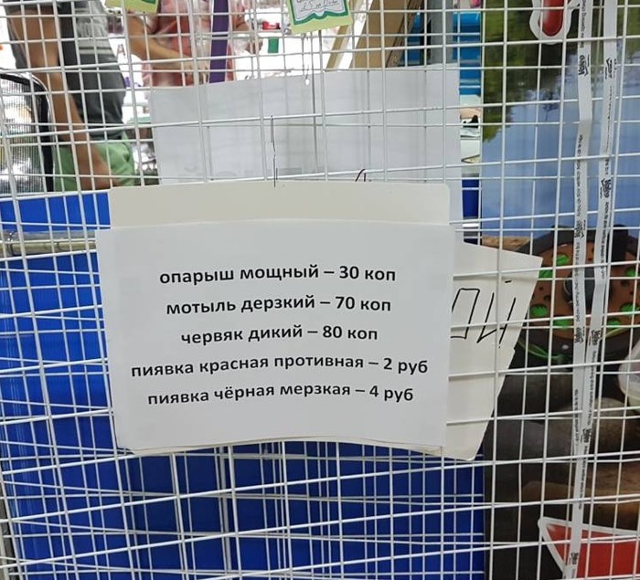 15 примеров беспощадной рекламы, которую не развидеть
