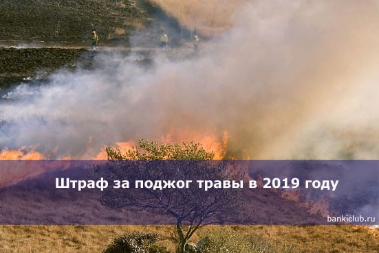Штраф за поджог травы в 2019 году