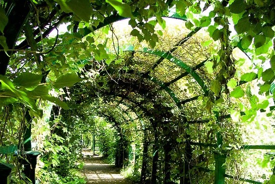 Погода в Санкт-Петербурге на май 2019 года