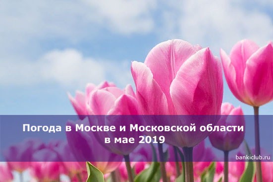 Погода в Москве и Московской области в мае 2019