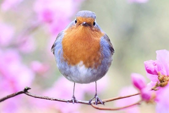 Как работаем в мае 2019 года?