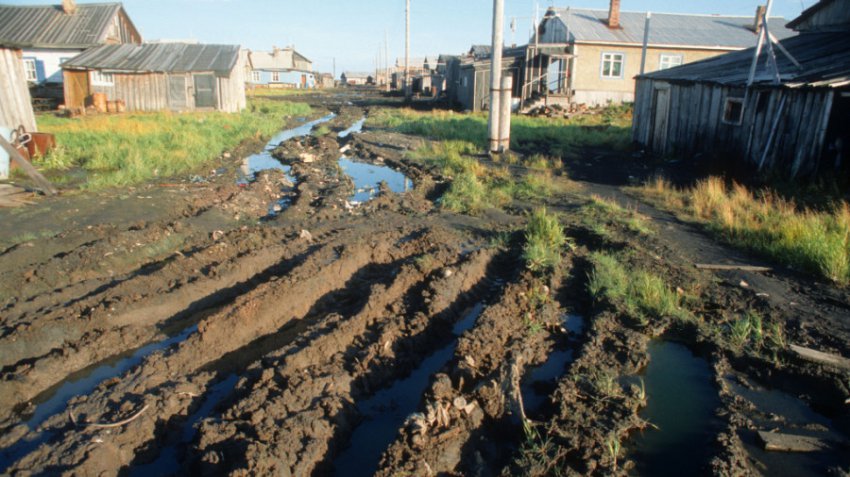 Неподнятая целина: поедут ли россияне работать в деревню, поверив в «золотые горы» властей