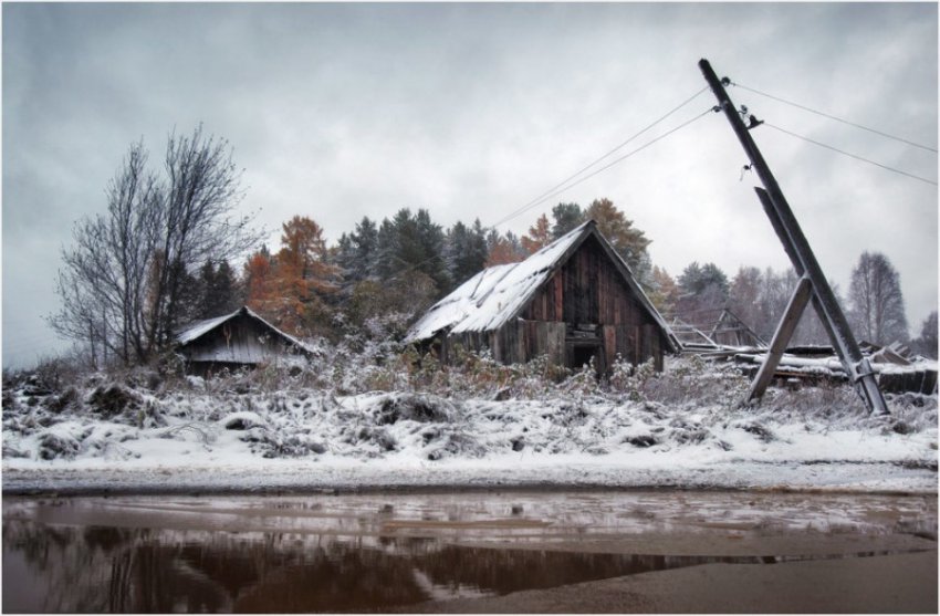 Неподнятая целина: поедут ли россияне работать в деревню, поверив в «золотые горы» властей