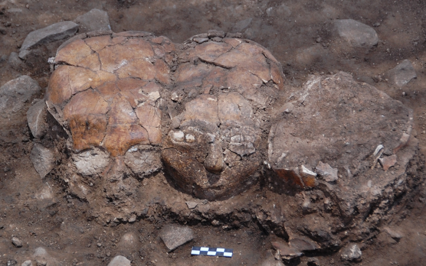 Библия – книга Белого Геноцида