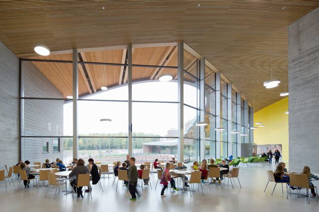 Здоровьесберегающие технологии: зарубежный опыт