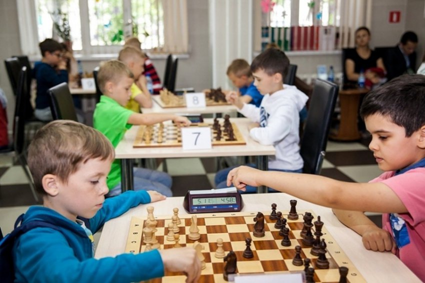 В образовательную программу хотят включить уроки по шахматам