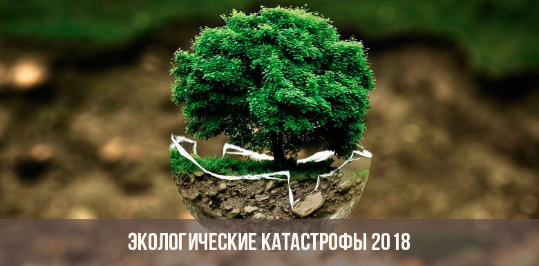 Экологические катастрофы в 2018 году в мире и в России