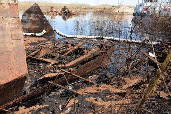 Экологические катастрофы в 2018 году в мире и в России