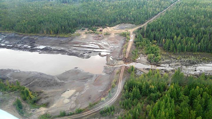 Экологические катастрофы в 2018 году в мире и в России