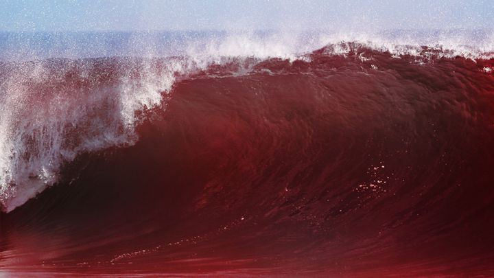 Экологические катастрофы в 2018 году в мире и в России