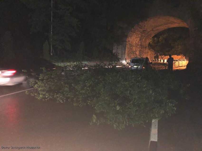 Упавшее дерево перегородило дорогу в Кисловодске