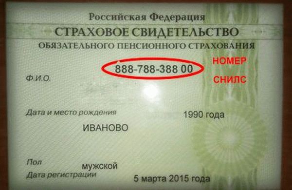 2020 как инностранный гражданин в упращенном порядке получит гражданство россии